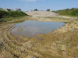 Flachwassertümpel