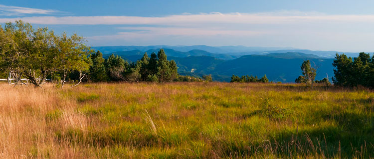 Narionnalpark  Schwarzwald