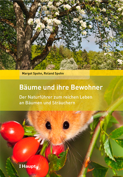 Bäume und ihre Bewohner