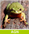 Arbeitsgruppe Naturschutz